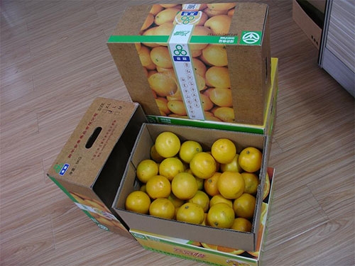 金玖全自动水果盒成型机赢得云南褚橙的订单