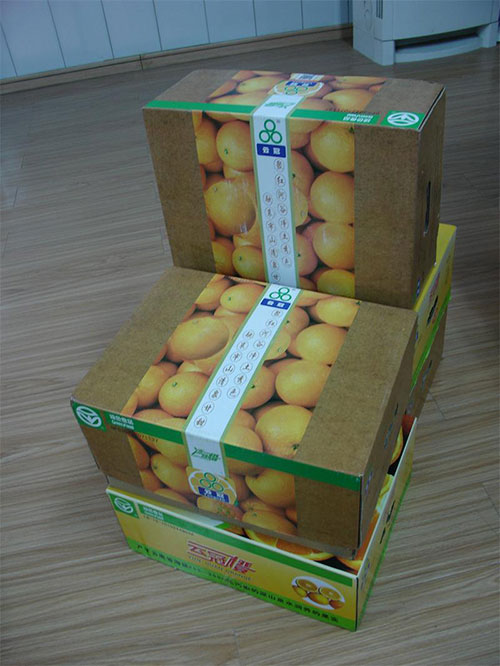 蔬菜水果包装盒成型机