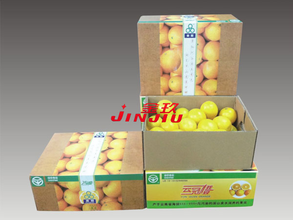 Fruit box automatic forming