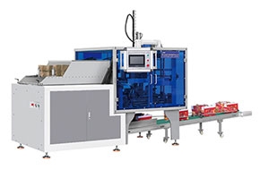 Fruit box molding machine